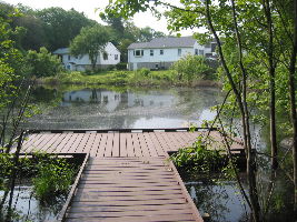 Dolan Pond conservation area 